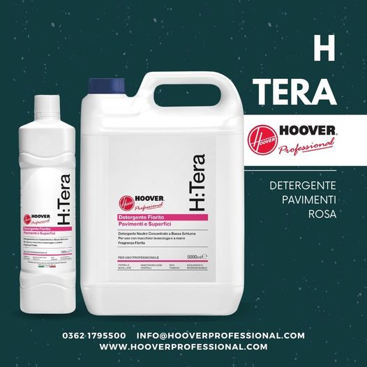 hoover professional h tera